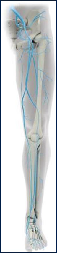 Процедура посегментной РЧА _ применение.png